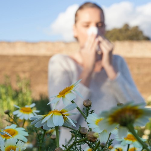 Sonora Quest Offers High-Sensitivity Allergy Tests Amidst Arizona’s Blooming Spring