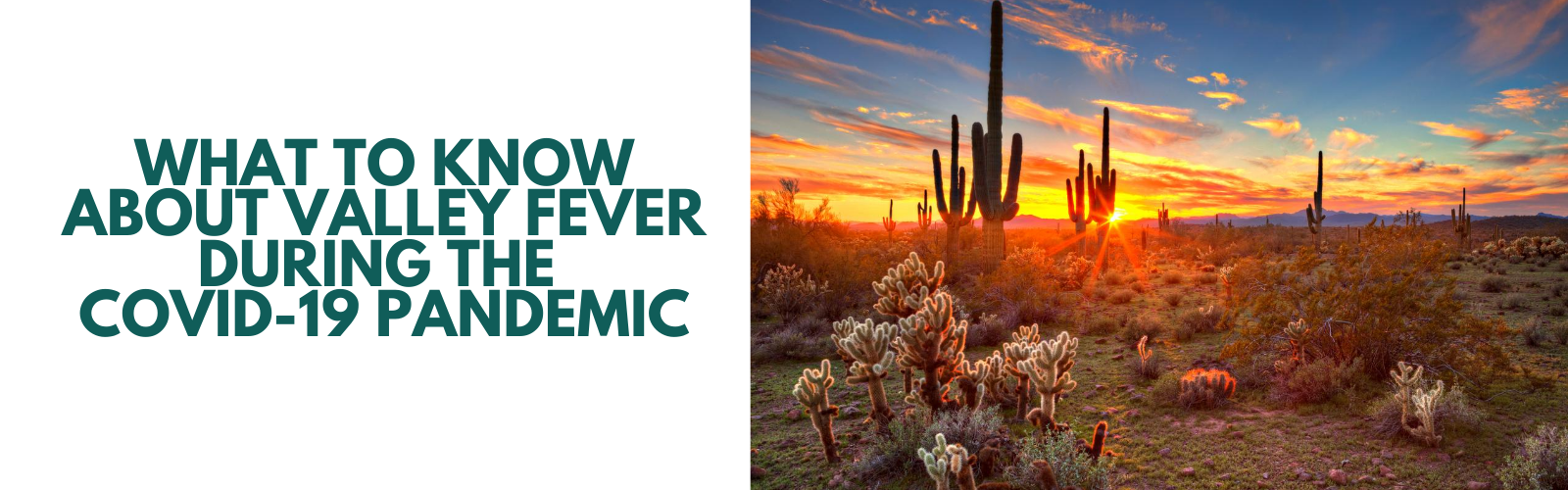 COVID-19 and Valley Fever